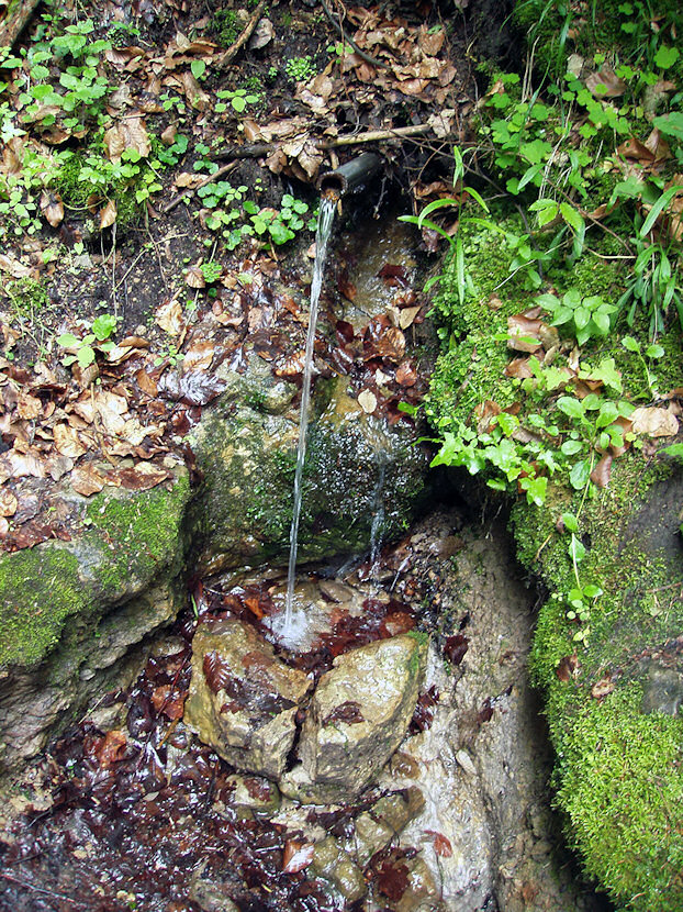 studánka bez jména (3435)