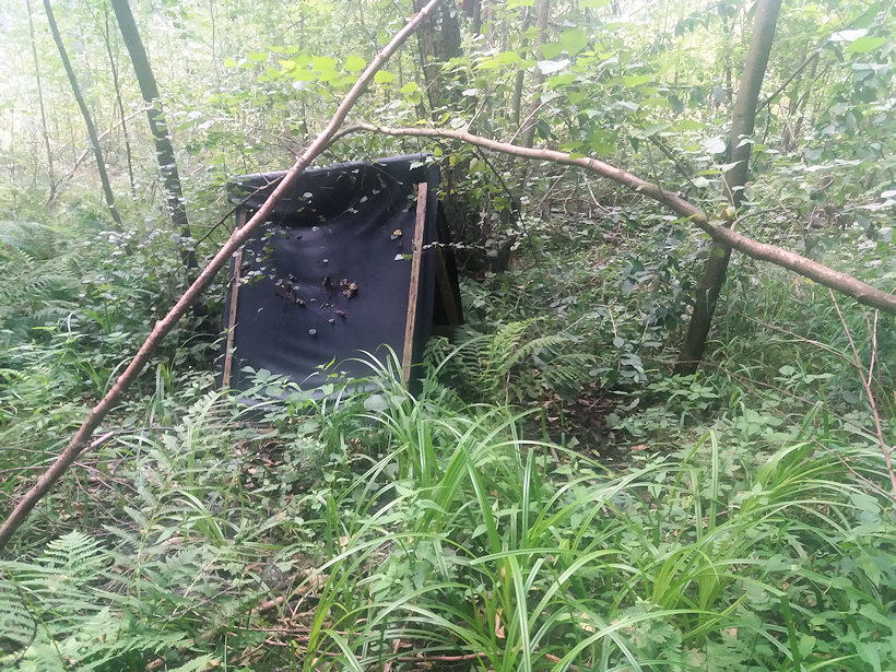 studánka bez jména (3436)