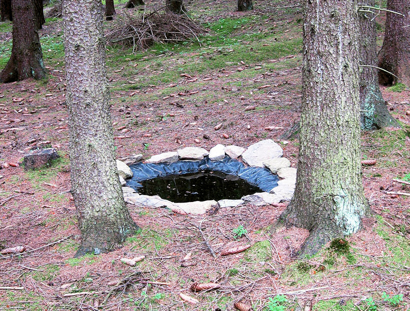studánka Nebeský pramen (3439)