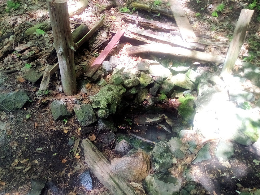studánka bez jména (3473)