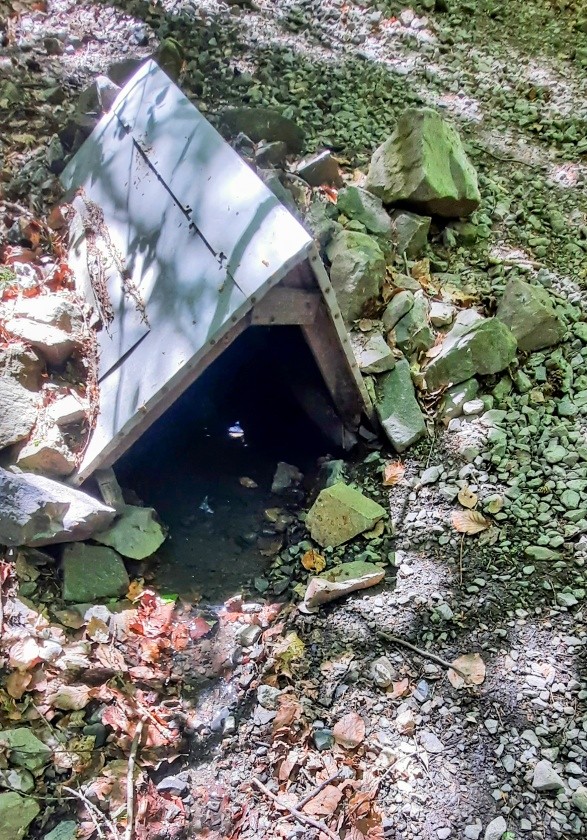 studánka Pod Hvíždincem (3475)