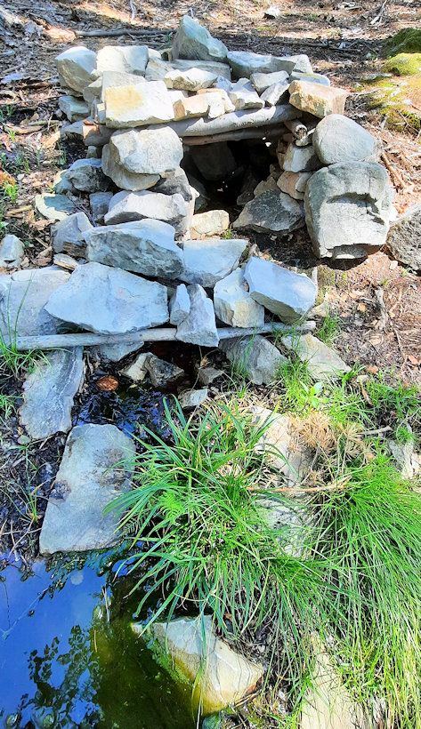 studánka Nad Kejnou roklí 3 (3478)