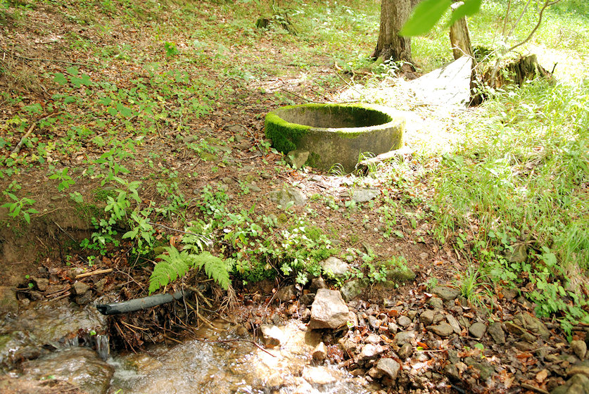 studánka bez jména (3479)