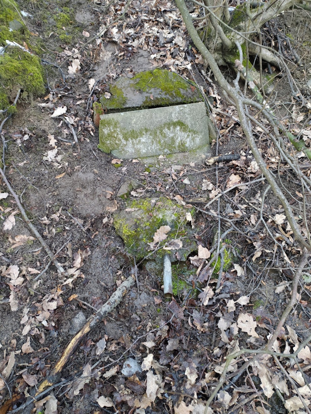 studánka Nad Strelnicí (3500)