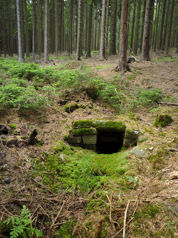 studánka U černách louží (3515)