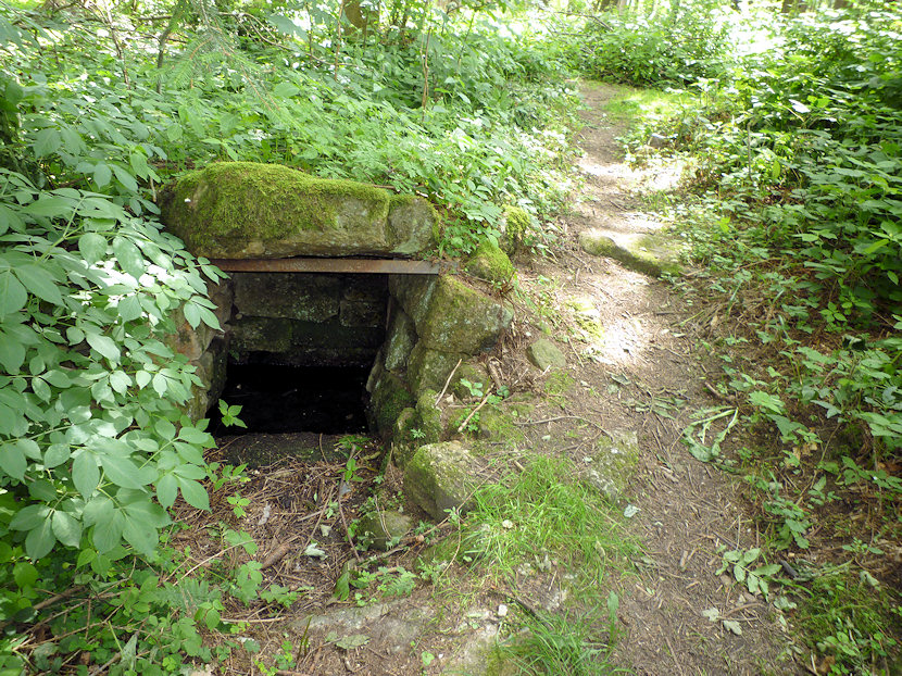 studánka Kořenářka (3516)