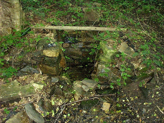 studánka bez jména (3536)