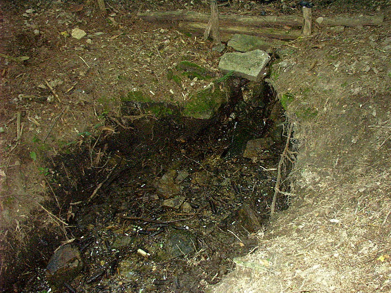 prameniště bez jména (3538)