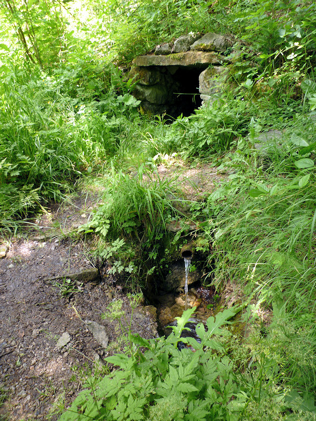 studánka Pod Kulhavovým kopcem (3543)