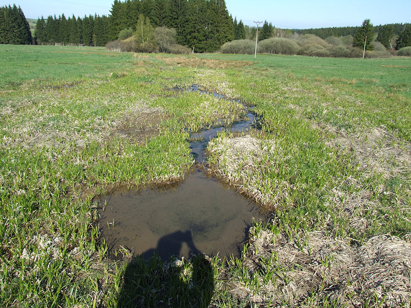 Závišínský pramen (3545)