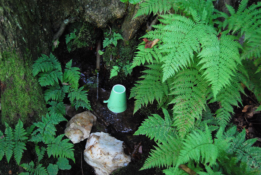 studánka Pod suťoviskem (3546)