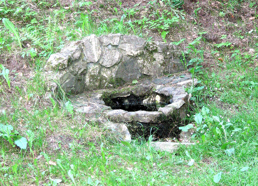 studánka Modřínová alej (3550)