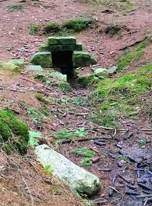 studánka Pramen Kamenice (3551)