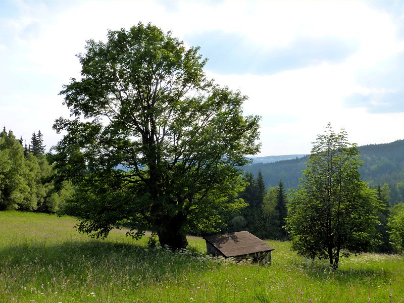 studánka bez jména (3561)