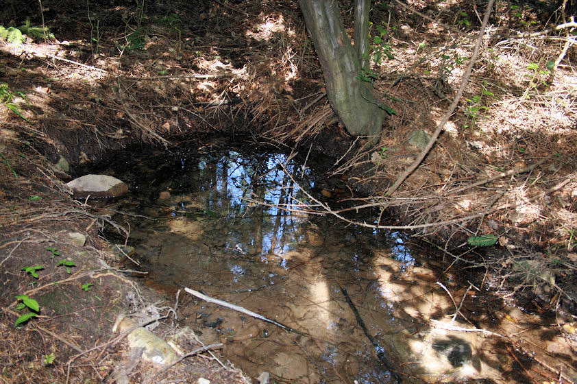 Studánka U Chaloupky (3566)