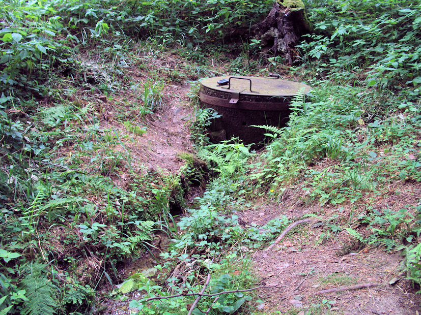 studánka bez jména (3572)