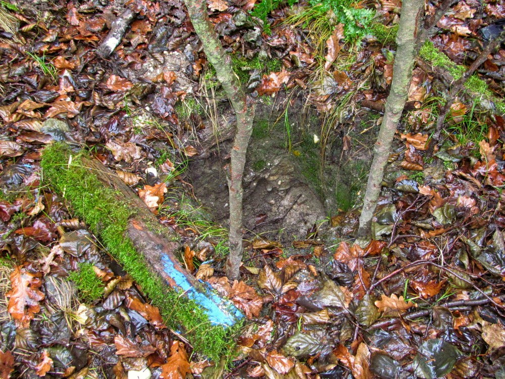 Modrá studánka (3582)