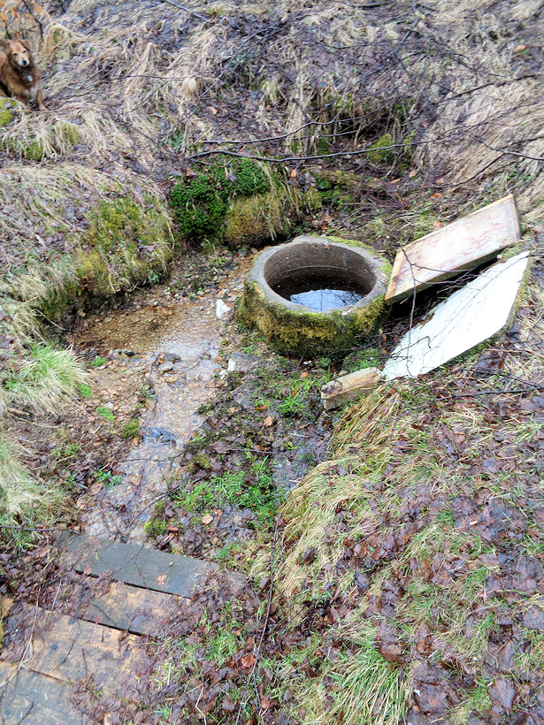 studánka U Divocha (3583)