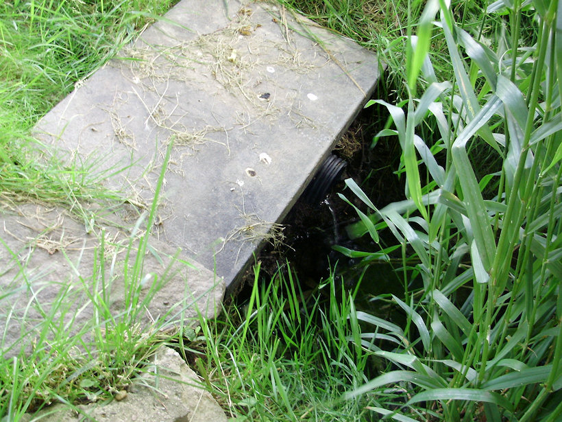 studánka bez jména (3594)