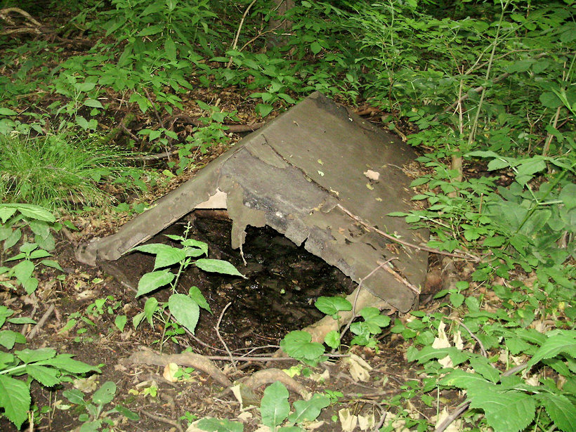 studánka U krmelce (3600)