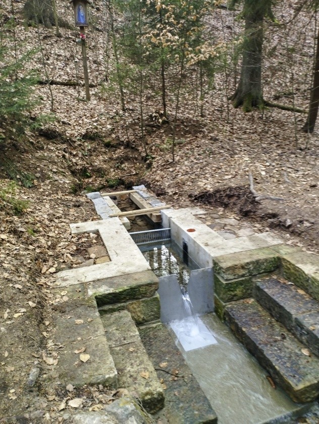 studánka Lesní (3602)