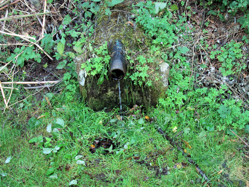 studánka U Starého koupaliště (3617)