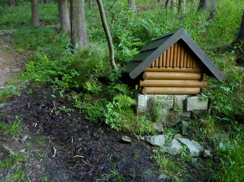 pramen Lesní studánka (3624)
