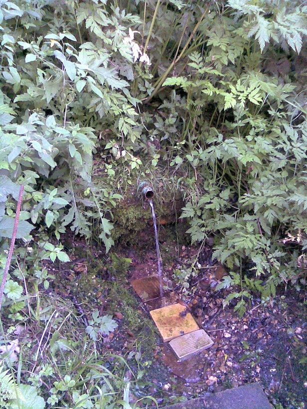 studánka U chatek (3631)