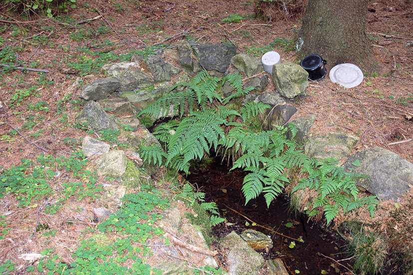 studánka Lesní pramen (3640)