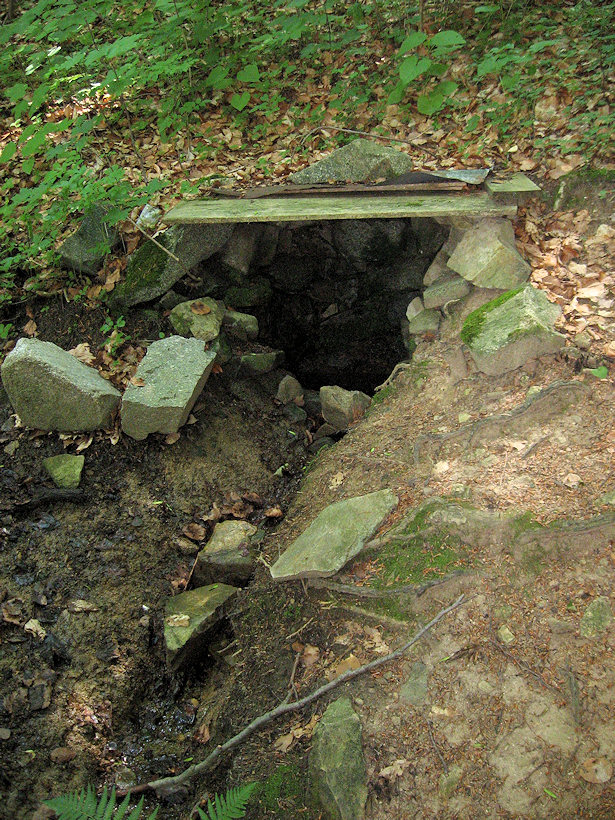 studánka bez jména (3649)