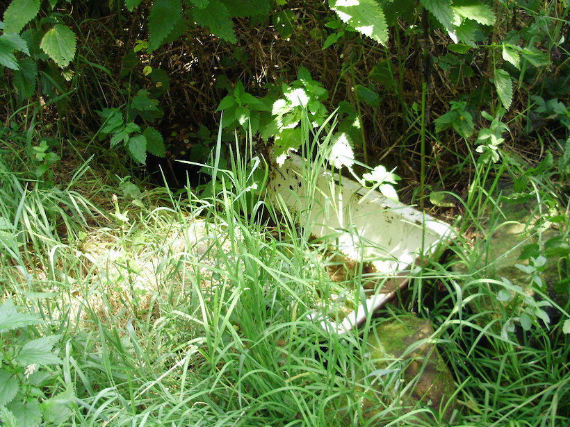 studánka Vanová (3656)