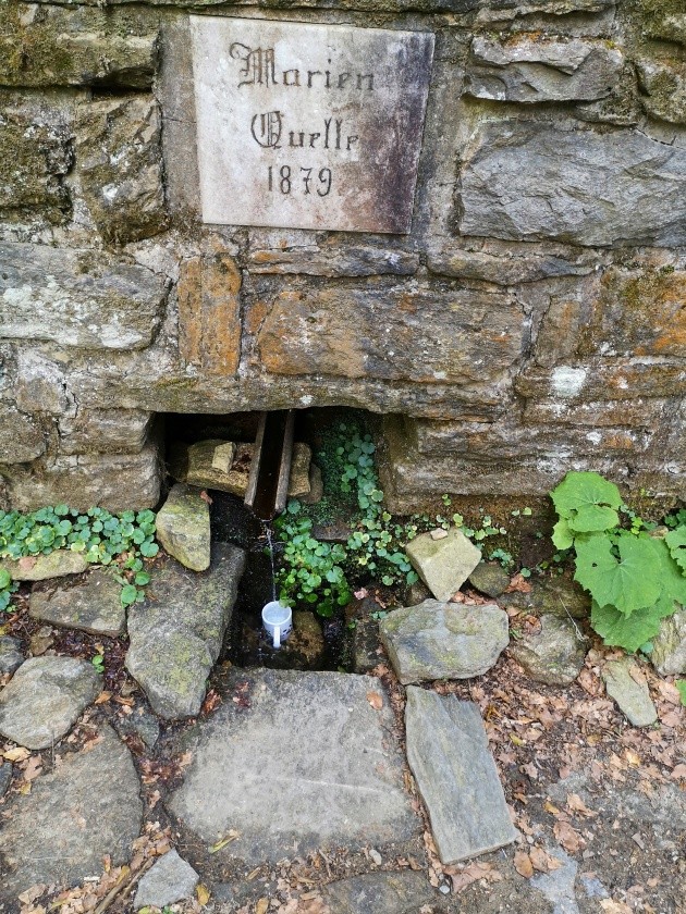 studánka Mariin pramen (3662)