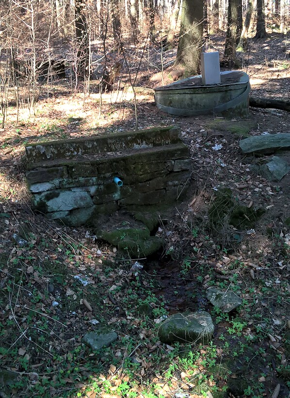 studánka Mločí pramen (3663)