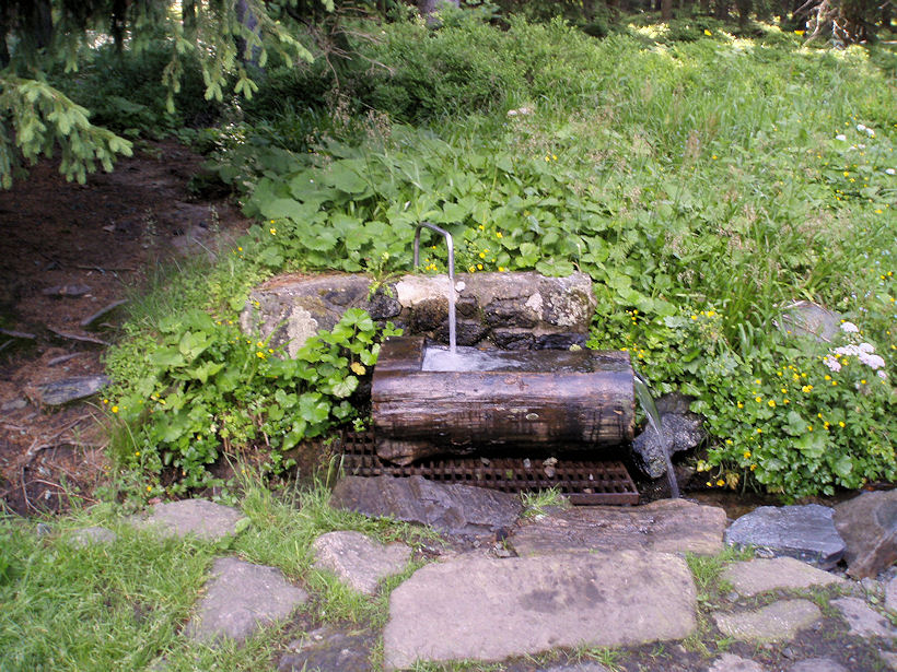 studánka Medvědí pramen (3670)