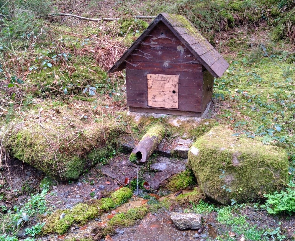 studánka Pod Hradišťským vrchem (3676)