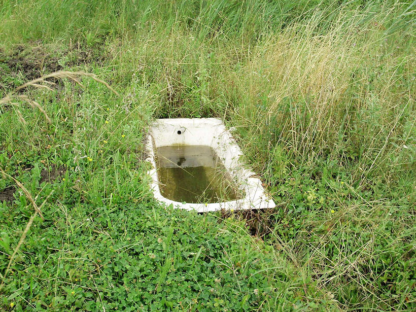 studánka Vanový pramen (3680)