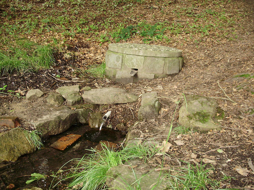 studánka Alenka (3681)