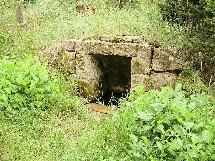 studánka Kamenářova (3684)
