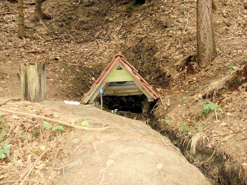 studánka Pod Ondřejovskem (3685)