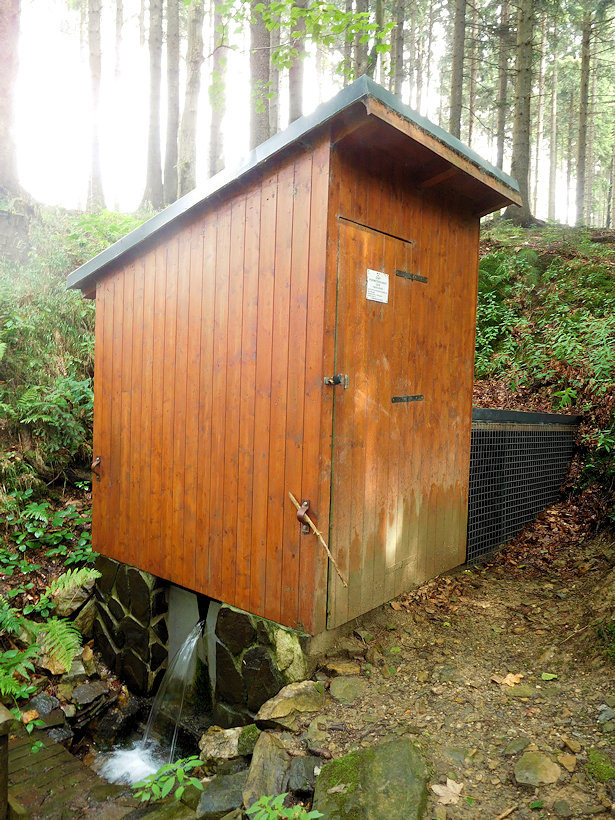 studánka Pod Orlím vrchem (3699)