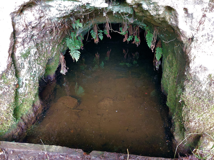 Studánka pod Bílou skálou (3709)