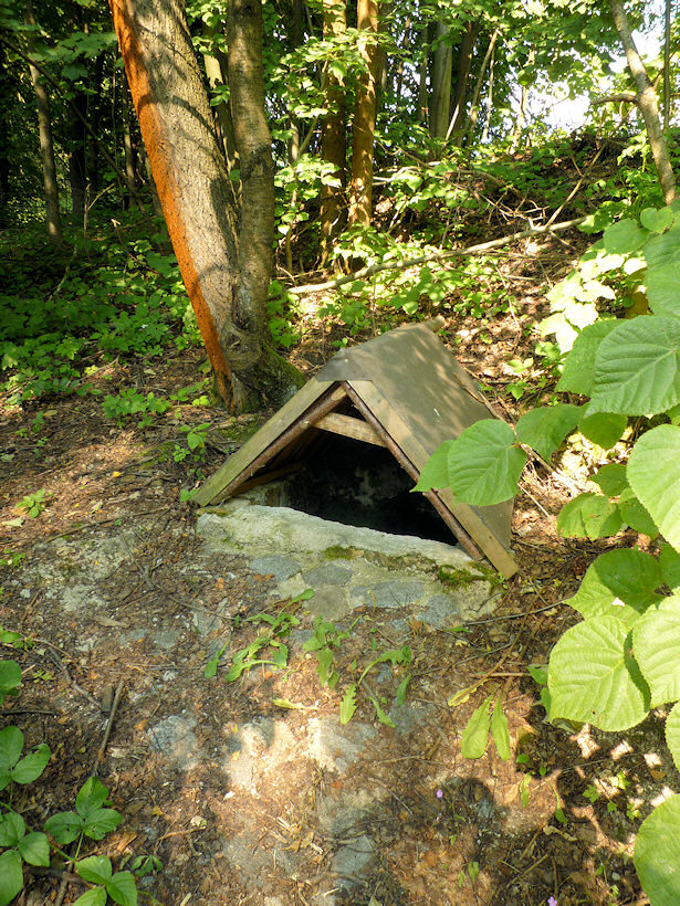 studánka Pod Pěčínem (3724)