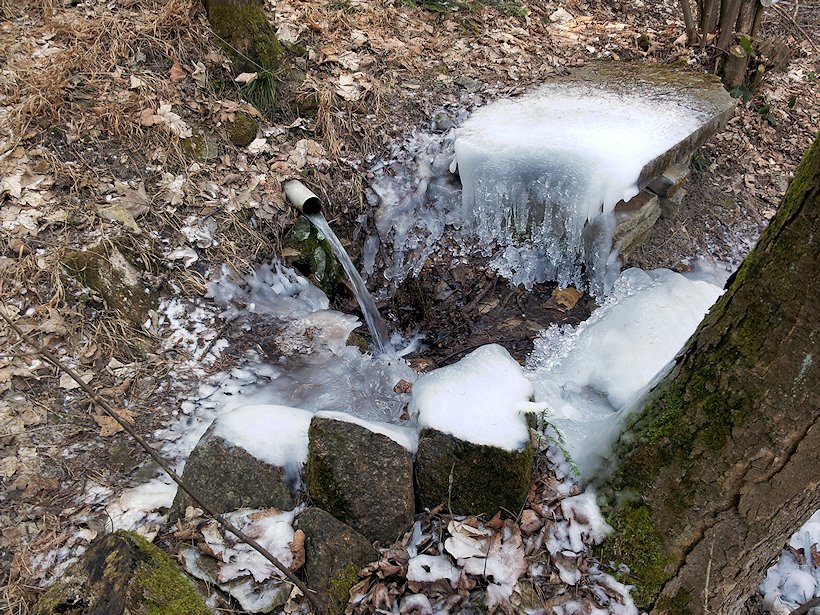studánka U Studánky (3725)