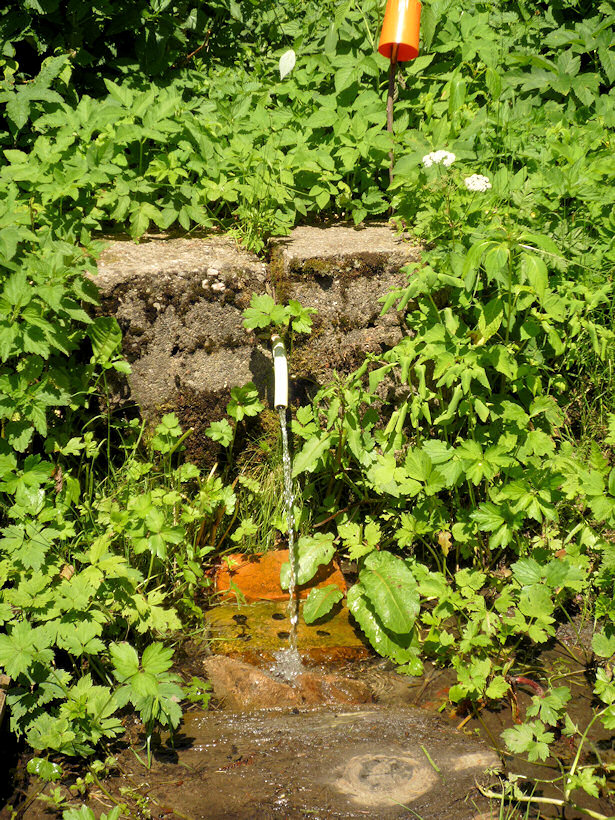 studánka U lovecké chaty (3726)