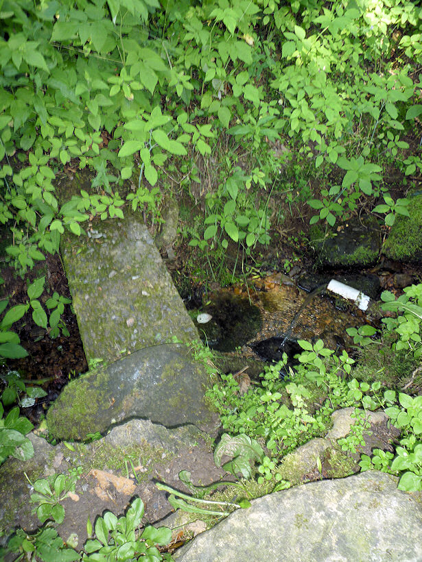 studánka bez jména (3727)