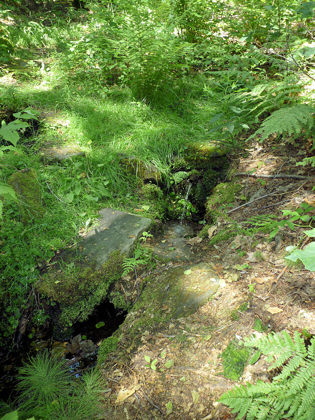 studánka Nad kapličkou (3728)