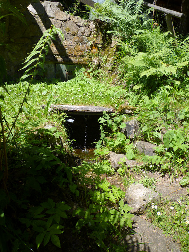 studánka U kolejí (3733)