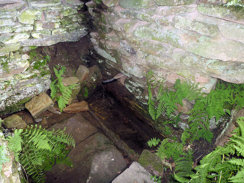 studánka Na Pustém vrchu (3736)