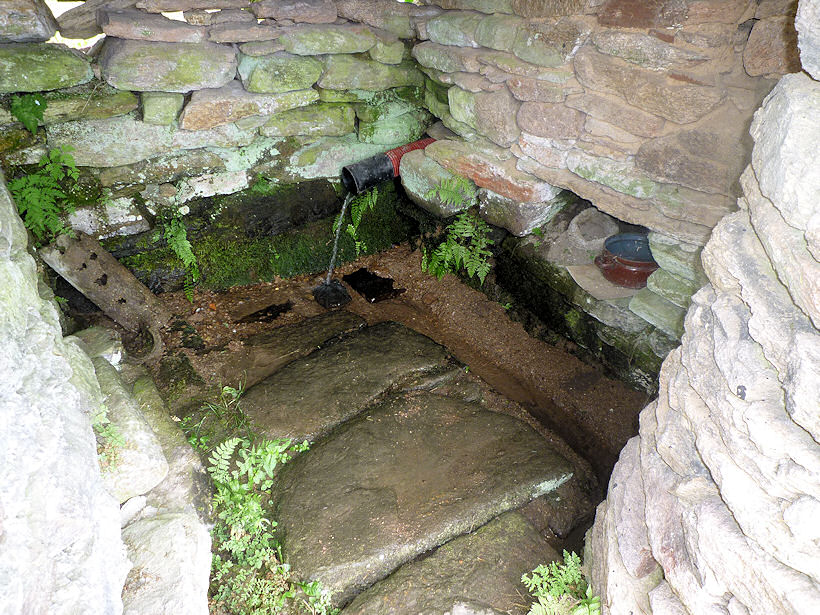 studánka Kamenitá (3740)