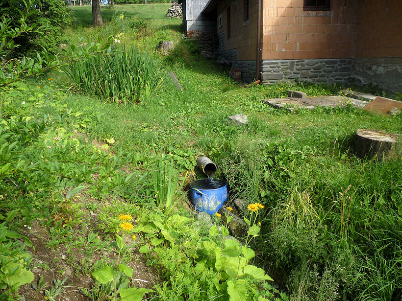 studánka Nová rampušská (3741)